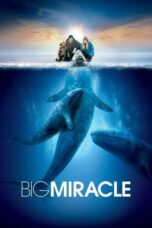 Nonton Film Big Miracle (2012)