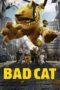 Nonton Film Bad Cat (2016)