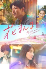 Petals and Memories (2025)